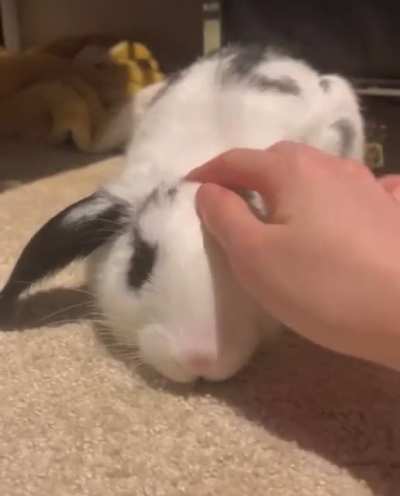 Little baby