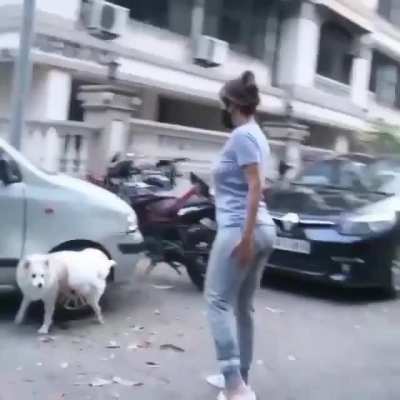 Sexy Malaika’s juicy big 🍑and her panty lines 👅💋😍😍😍😍