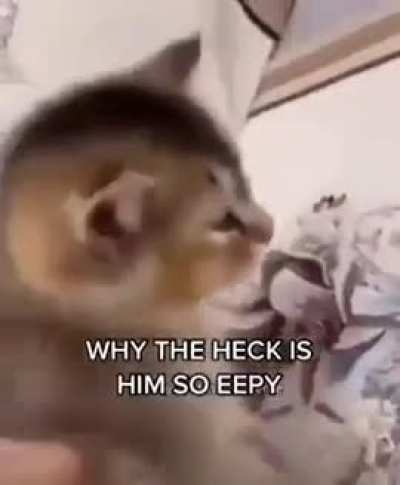 eepy wunk
