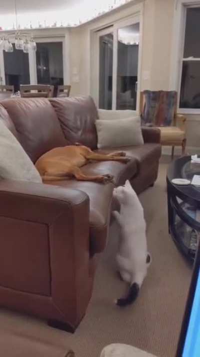What? Who's there?