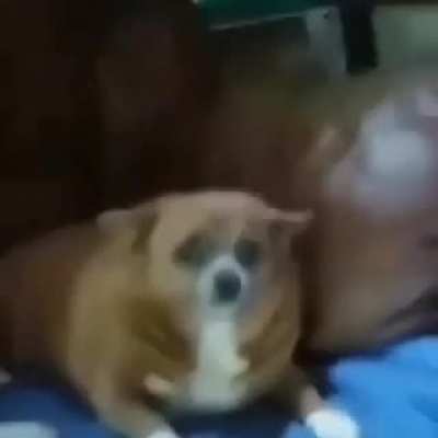 :(