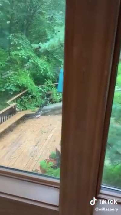 Patio go down