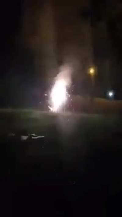 My dog tried to grab a firework