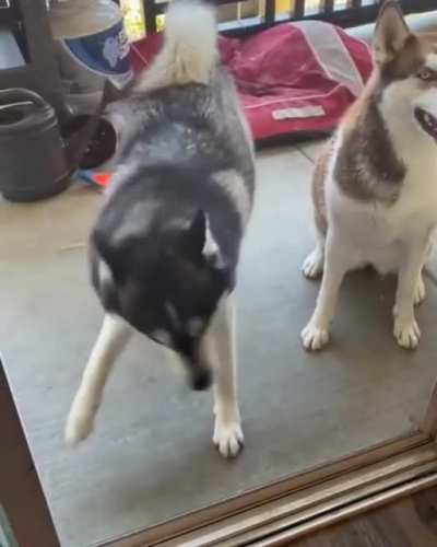 What a dance!