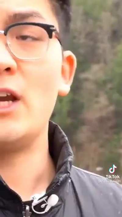 Fly
