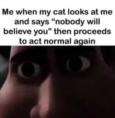 wheres my gun