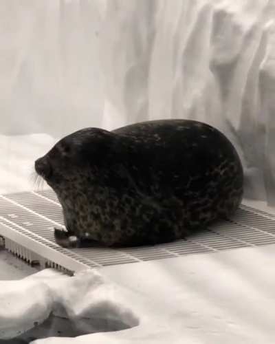 Feeling blessed to have witnessed this unit in action