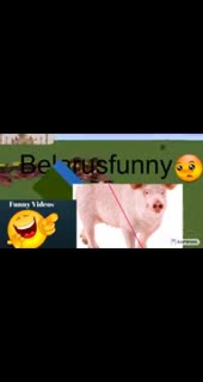 belarusfunny 148p🤔🤔🤔 no russians russia haram😡😡😡