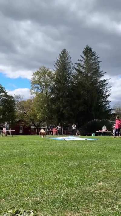 Running & sliding - Instagram 8/30/25