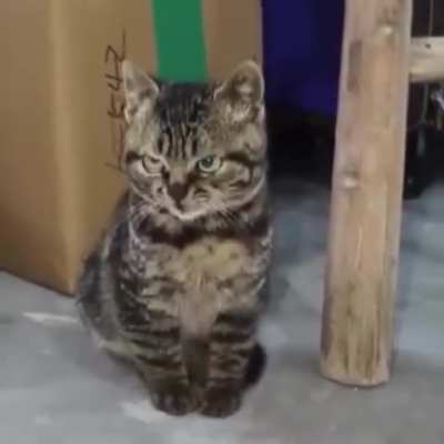 That Face.. 😅😅