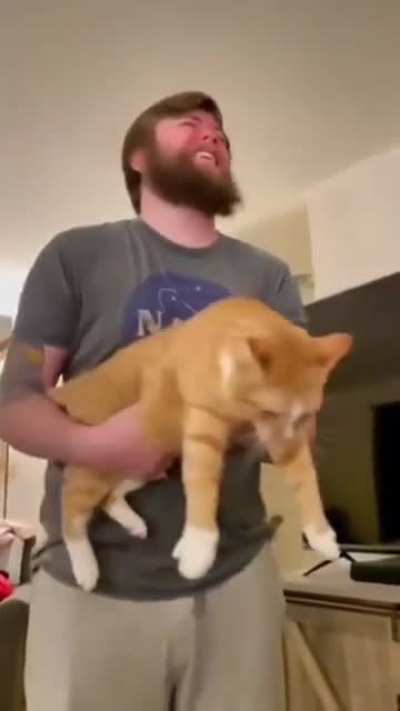 Cat machine gun