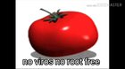 funny tomate!! مضحك للغاية🤣🤣 peter grifen eat hemburguer????هذا غير مسموح بهpetre grifin haram comfirmd!!