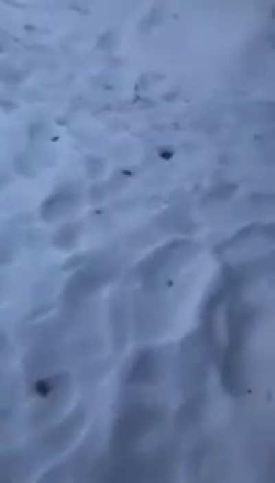 Зимнее ❄️