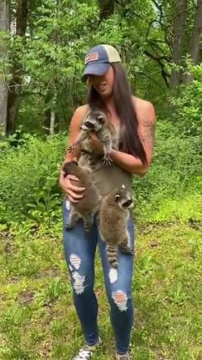 Trashpanda babies