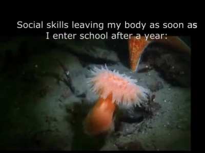 bye bye