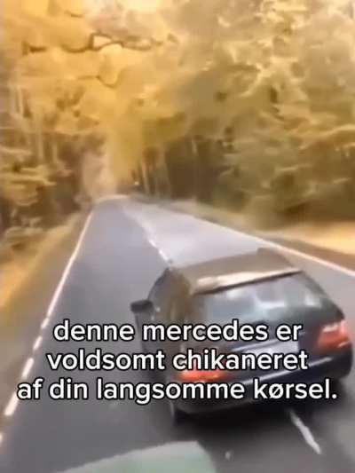 Teorigejl