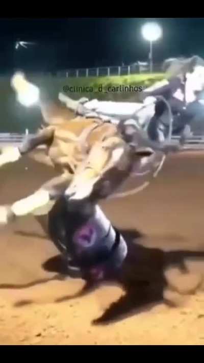Cavalos