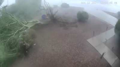🇺🇸 Tempe,AZ hit by a microburst. Every tree in the neighborhood is gone.