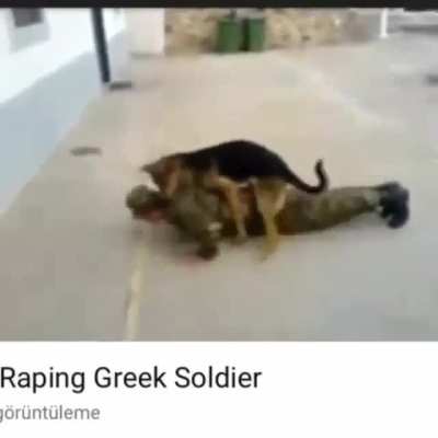 Average Gayreek soldier & Turkroach dog