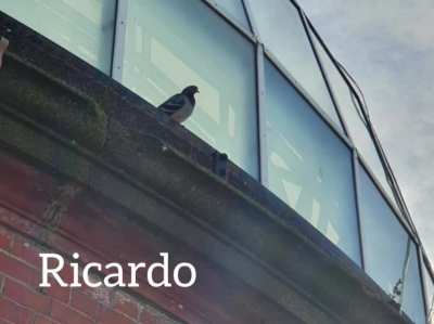 RICARDO 😪