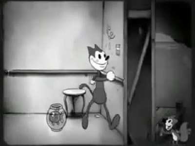 Gato pau de ferro