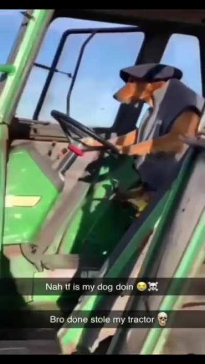 Dog stole my tractor 😤