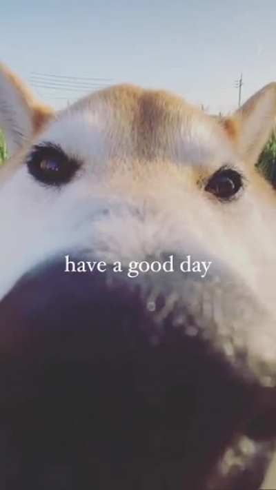 Hey you! Stop!