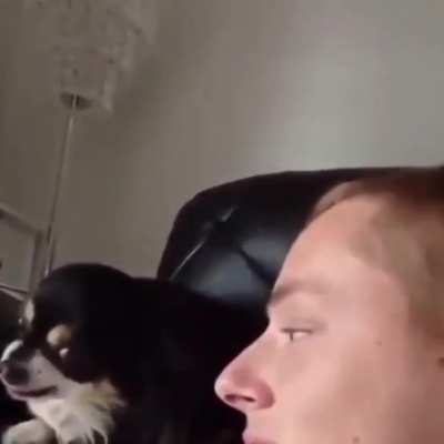 Quick lick