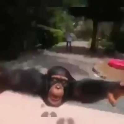 Monke
