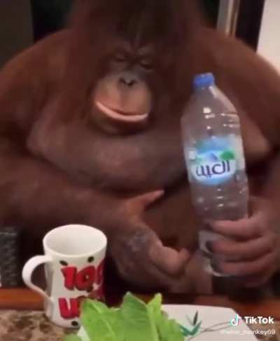 Yo después de 3 cervezas