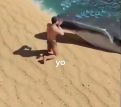 bó salvar umas baleias 😭