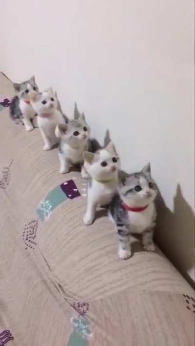 Tiny gang