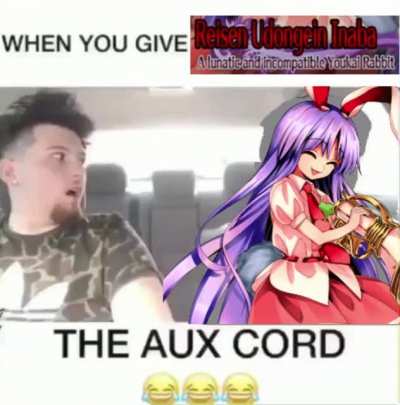 Funny war bunny in a car