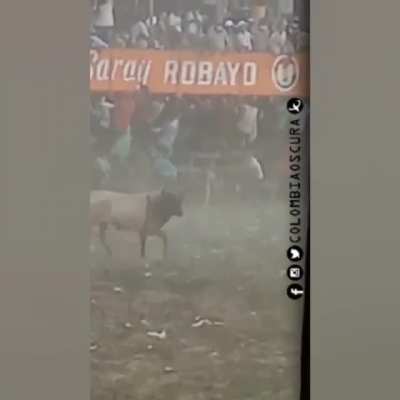 This just happened at a small town in Colombia during corralejas festivities.