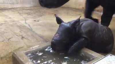 Learning to drink!!
