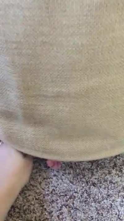 Caught this strange animal in our house! (Sound on)