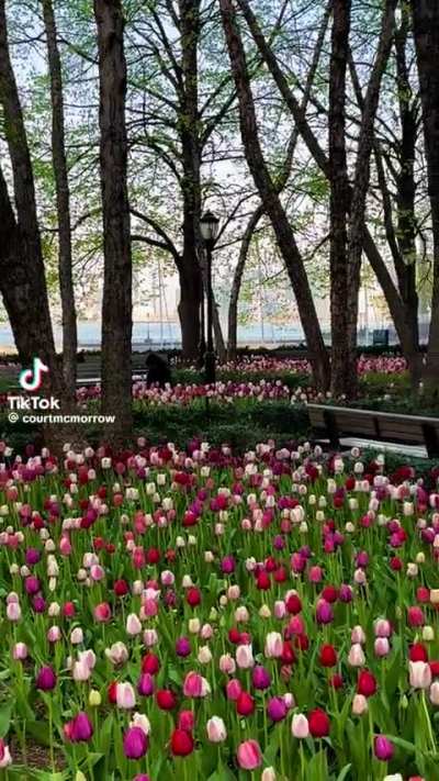 Pumphouse Park