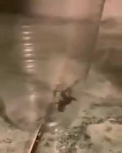 Spider instantly catches pest outside