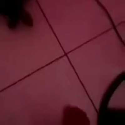 Olha ele ali