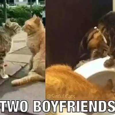 Yes
