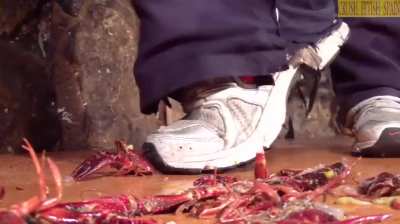 crd sneakers