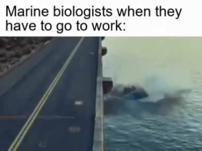 off they go