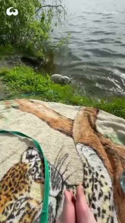 I'll lie down.... Oh sh*t