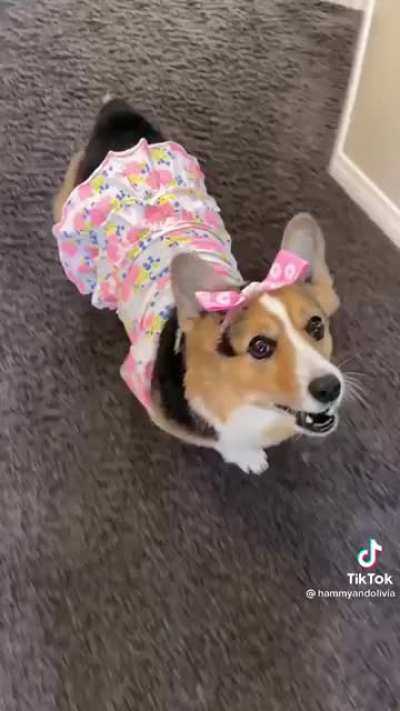 The things you find on Tiktok...