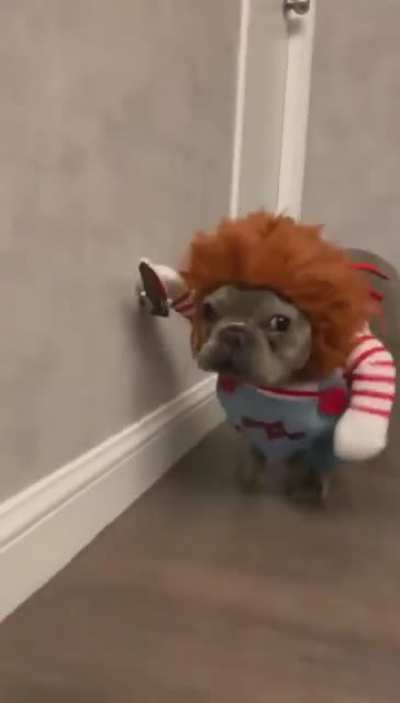 Deadly dog costume