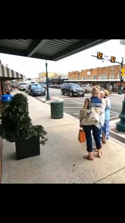 Plant man, espionage king