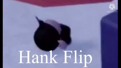 Hank Flip
