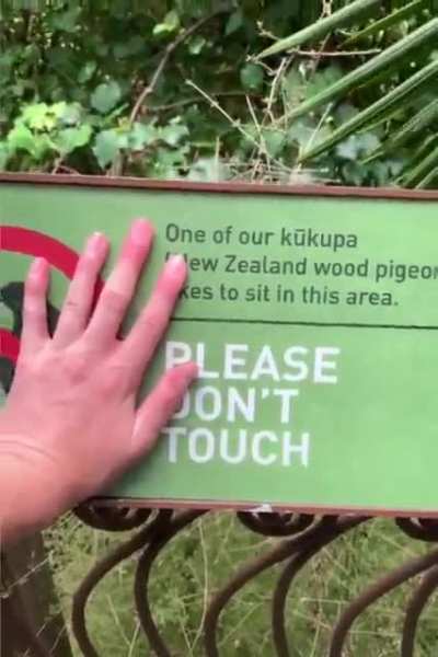 Thats why the signs are there