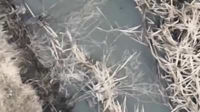 Two russian invaders were taking a bath in a creek but were interrupted by a Ukrainian drone...