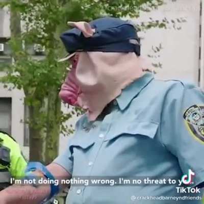 NY Pig gets arrested and dragged away